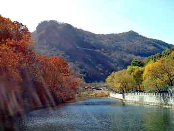 奥门天天开奖免费资料，五指山seo软件